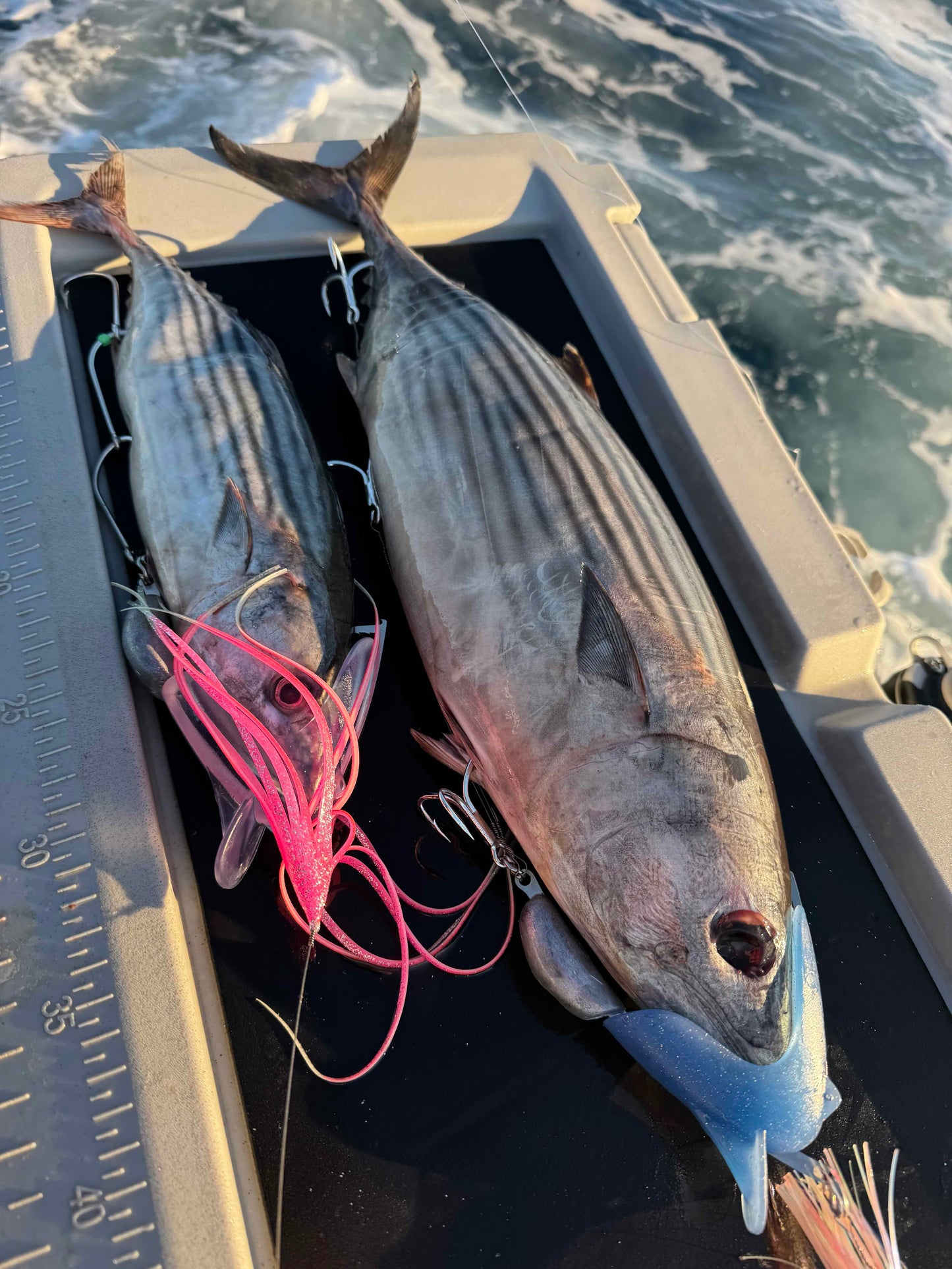 Reaper Rig XL with bait